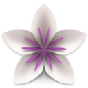 Vellum