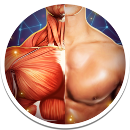 Human Anatomy 3D 4.0.0