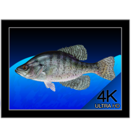 Aquarium 4K