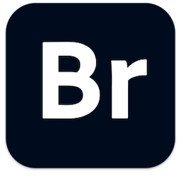 Adobe Bridge 2021 v11.0