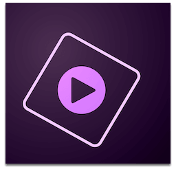 Adobe Premiere Elements 2021 (19.0)