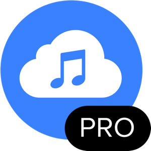4K YouTube to MP3 Pro 26.1.0
